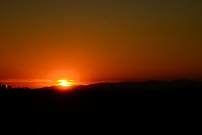 DSC_1479 (Large).JPG